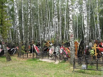 Кладбище в реутово
