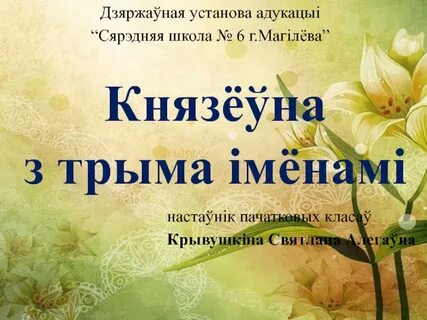 Установа адукацыі
