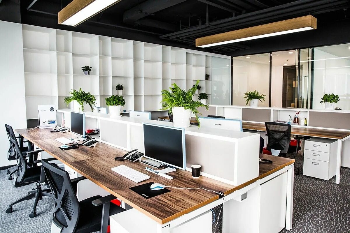 Office am