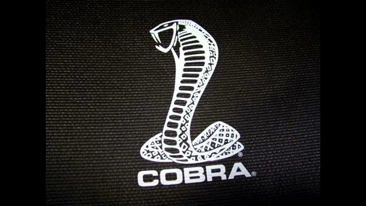 Cobra перевод. Кобра логотип. Термонаклейки Кобра. Шелби Кобра логотип. Лого Форд Мустанг Кобра.