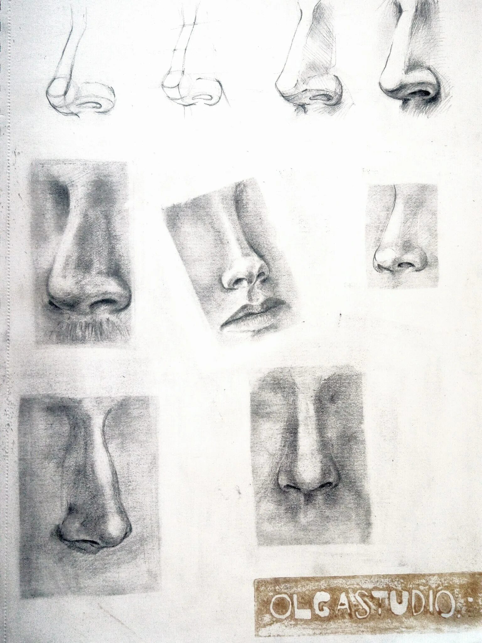 Баммес пластическая анатомия носа. Готфрид Баммес нос. Готфрид Баммес анатомия носа. Академический нос Давида Баммес.
