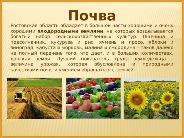 Ростовская область черноземы. Карта почв ростов на дону. Экологическая карта ростова-на-дону. Карта почв ростов на дону. Ростовская область черноземы.