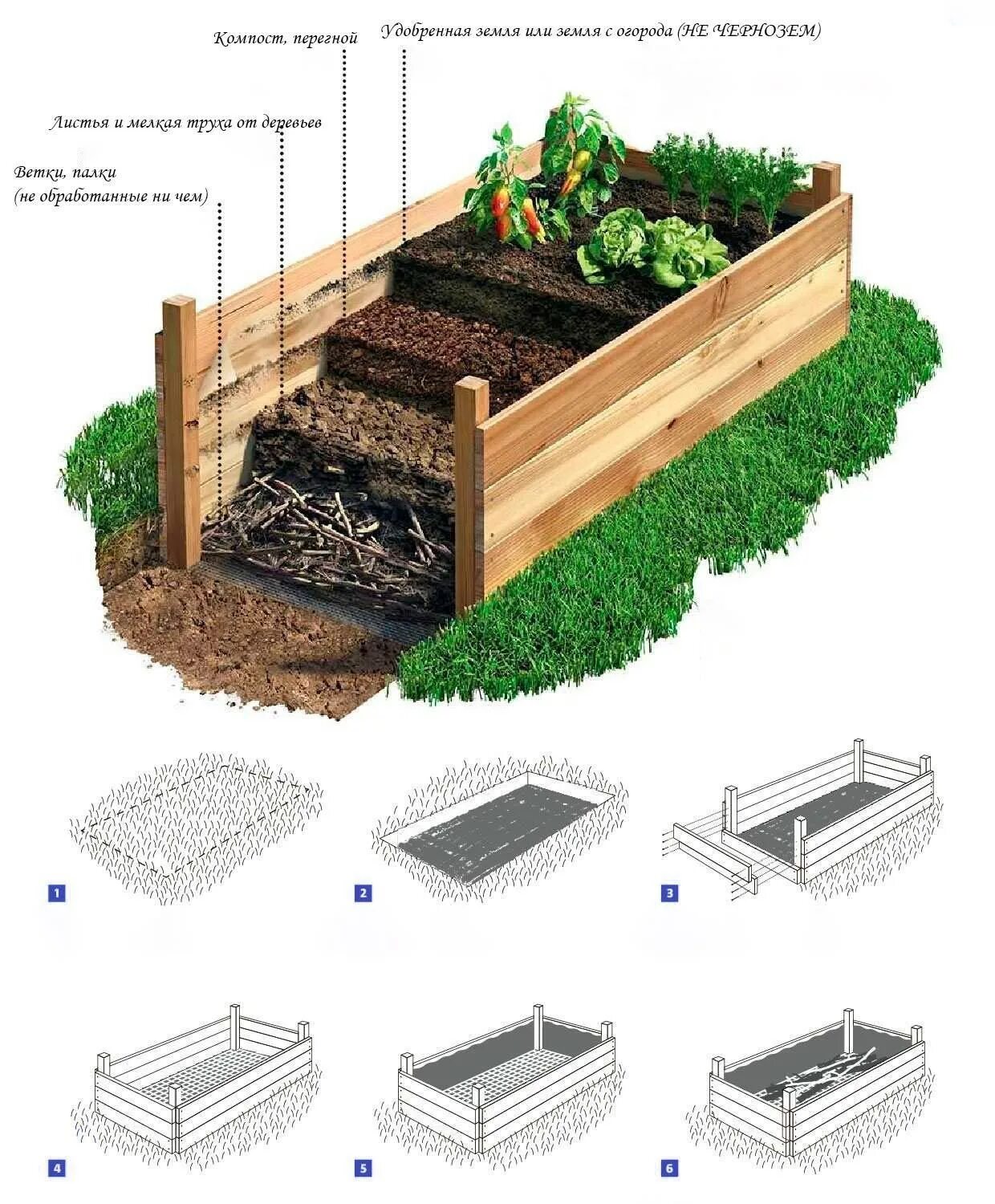 Размер грядок на огороде. Высокие грядки схема. Высокие грядки заполнение послойно. Высокие грядки наполнение схема. Теплые грядки схема послойно.