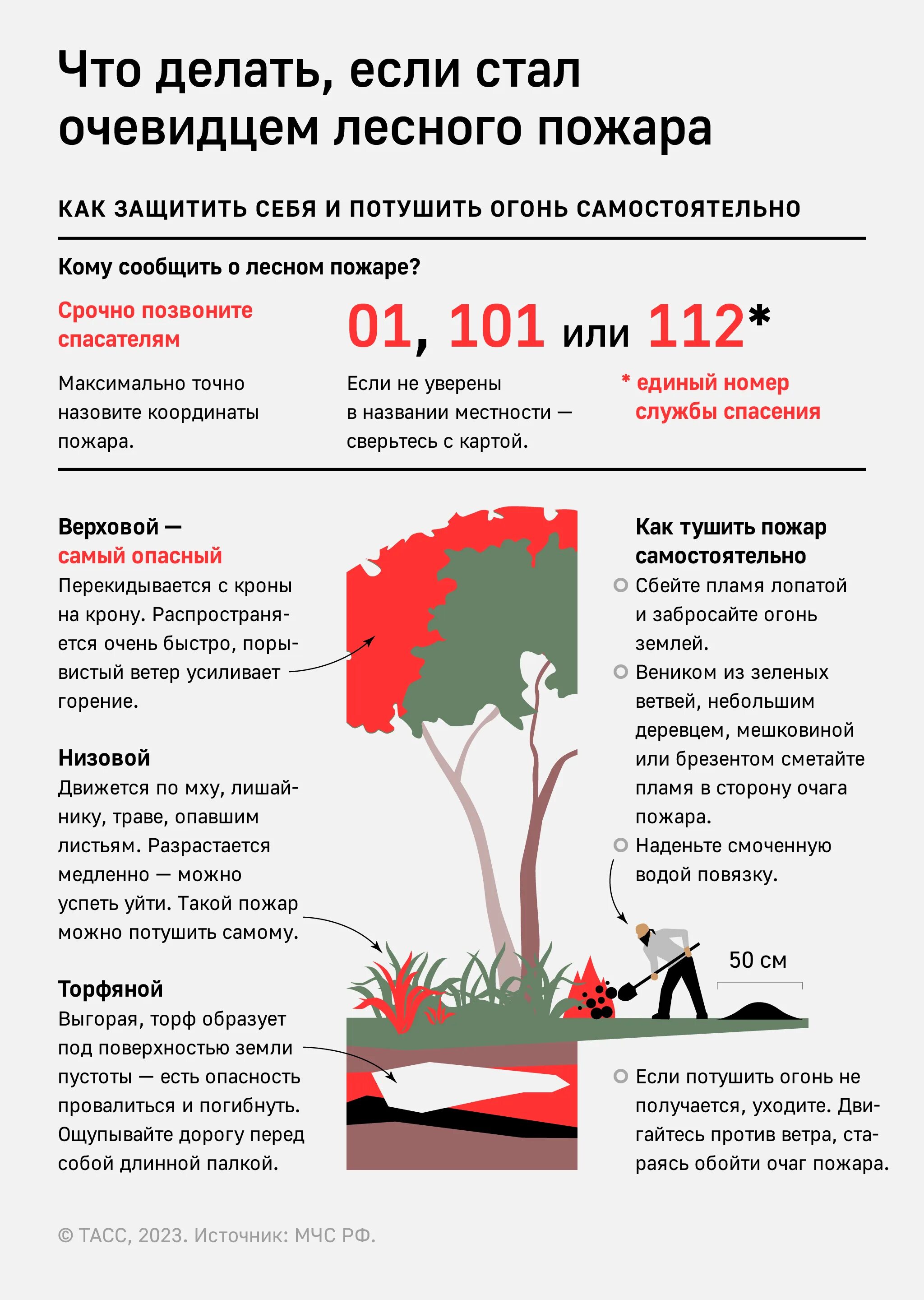 Лесные пожары статистика 2023. Лесные пожары инфографика. Лесные пожары в России в 2023 году. Инфографика по лесным пожарам. Статистика лесных пожаров в РФ 2023.