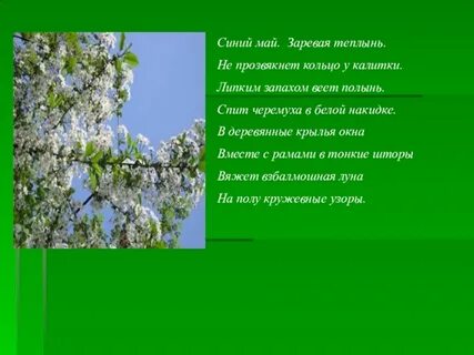 Есенин сыплет черемуха анализ стихотворения 5 класс