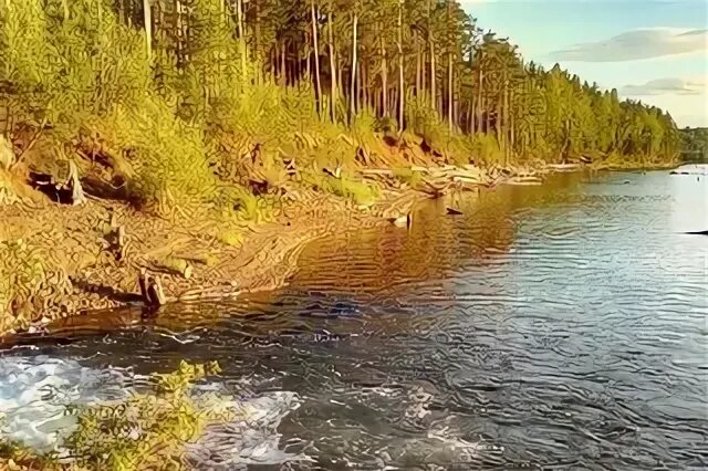 Национальный парк Лемменйоки Финляндия. Парк Лемменйоки в Финляндии. Национальный парк Лемменйоки в Лапландии.. Финляндия : большой национальный парк Лемменйоки.