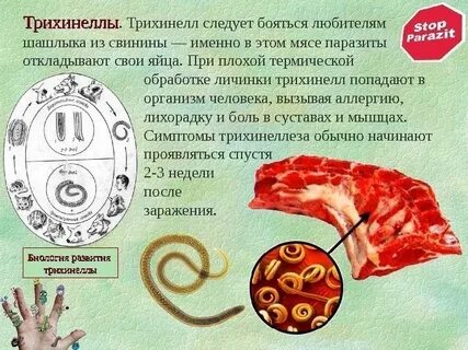 Распознать паразитов