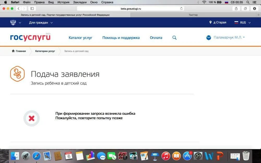 Ошибка при создании дела госуслуги. Ошибка на госуслугах. Что такое ошибка авторизации в госуслугах. Ошибка при входе в госуслуги. Ошибка на госуслугах скрин.