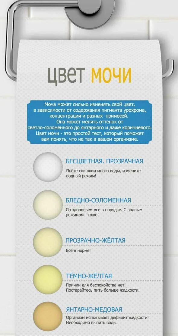 Моча меняется при беременности
