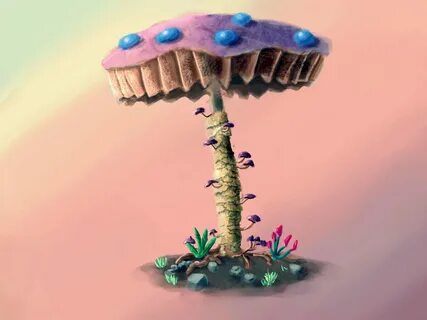Mushroom oasis новелла