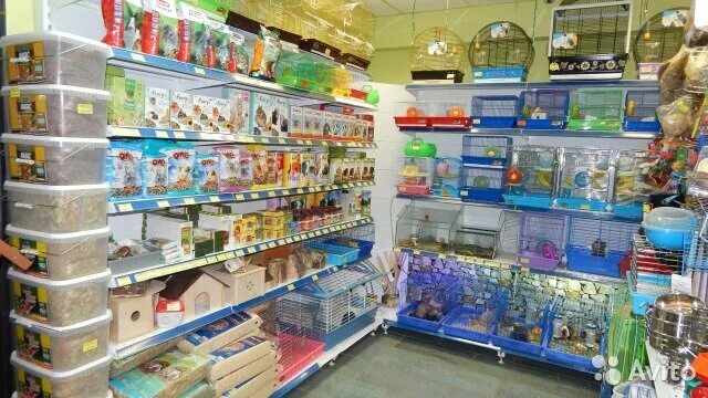 Магазин животных. Магазин животных. Зоомагазин курганинск. Зоомагазин моздок. Зоомагазин в усть-лабинске.