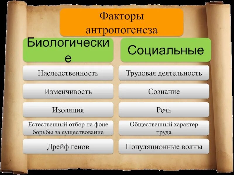 Естественный отбор фактор антропогенеза. Факторы антропогенеза. Факторы антропогенеза биологические и социальные. Социальные факторы антропогенеза. К социальным факторам антропогенеза относятся