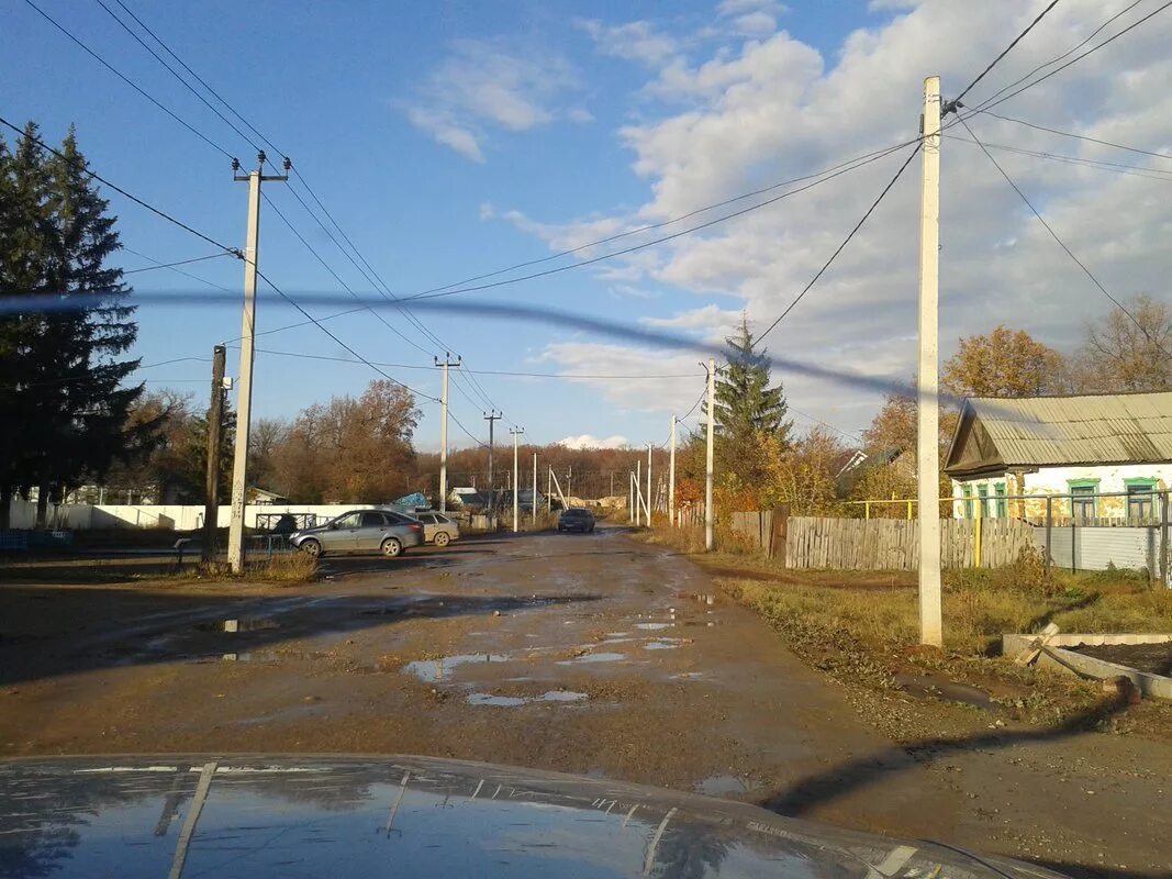 Лесхоз Бугуруслан. Старое Тюрино Бугурусланский. Ул Лесопарковая Бугуруслан. Тюрино Оренбургская область. Бугуруслан черемушки телефоны