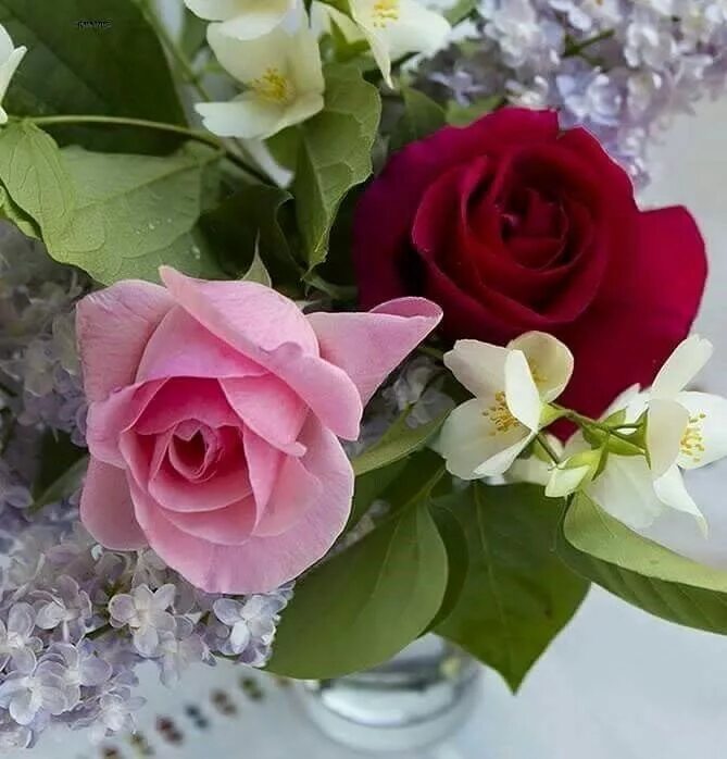 Пусть проявлять. Хорошего настроения и удачного дня цветы. Хорошего дня и прекрасного настроения. Открытки с цветами добрый день. Отличного дня цветы.