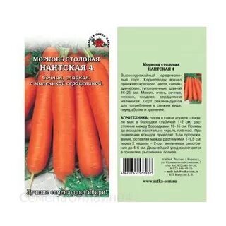 Морковь нантская характеристика и описание