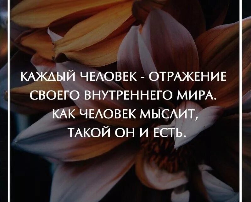 Цитаты про доброту души. Относится к жизни с любовью. Относится к жизни с любовью. Любовь к себе цитаты. Никто не обязан относиться к нам так как мы относимся к другим.