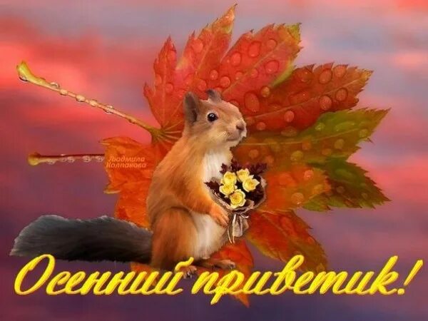 Открытка, картинка, привет, осенний привет, приветик, осень, кот. Открытки Откры