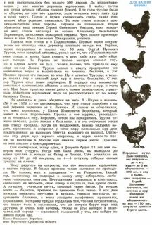 Обязательно ли курицам петух