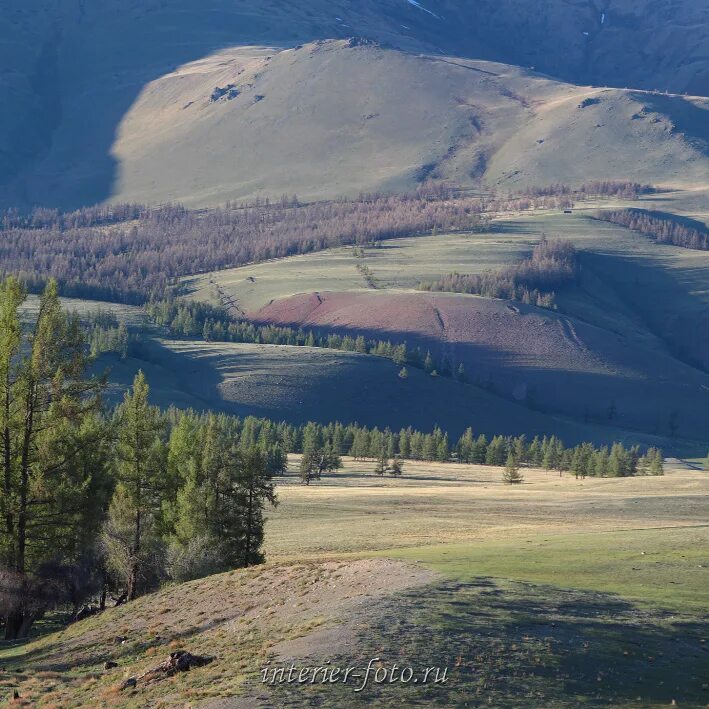 Курай (Республика Алтай). Курайские зори. Алтай курай горы. Курай смотровая площадка.