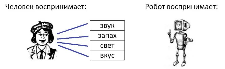 Звук запах вкус. Робот воспринимает. Органы чувств робота. Человек и информация 3 класс Информатика. Что воспринимает робот Информатика 3 класс.