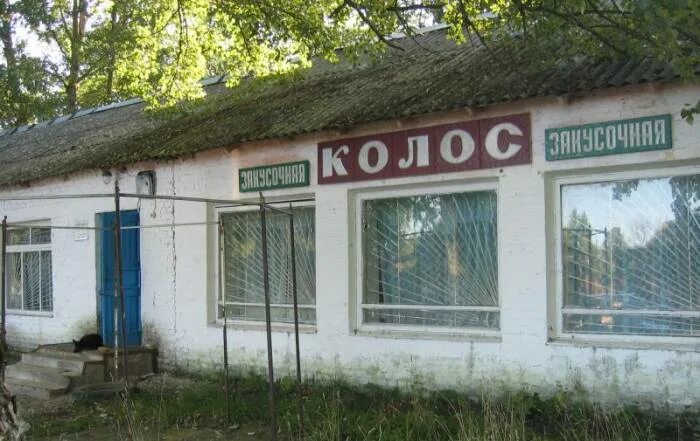 брянская область город клинцы чемерна. клинцы чемерна. чемерна поселок брянская обл. поселок чемерна клинцовского района. чемерна брянская область.