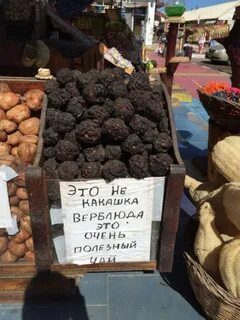 Стой какашка