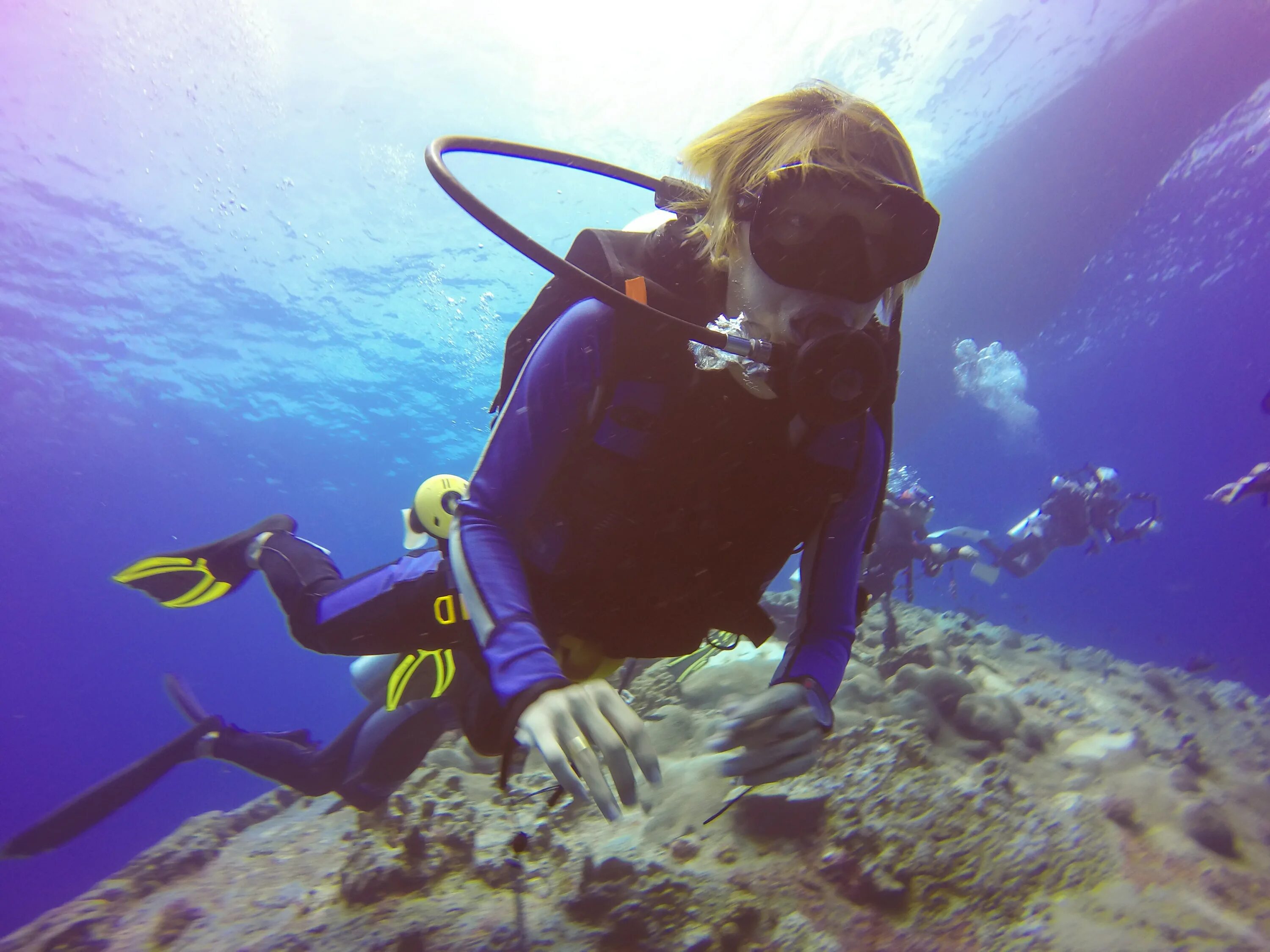 Sea dive. Скуба дайвинг. Аквалангист под водой. Подводный дайвинг. Акваланг для дайвинга.