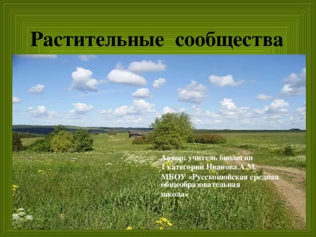 Растительные сообщества текст. Растительные сообщества. Растительное сообщество это в биологии. Растительные сообщества презентация. Растительные сообщества России.