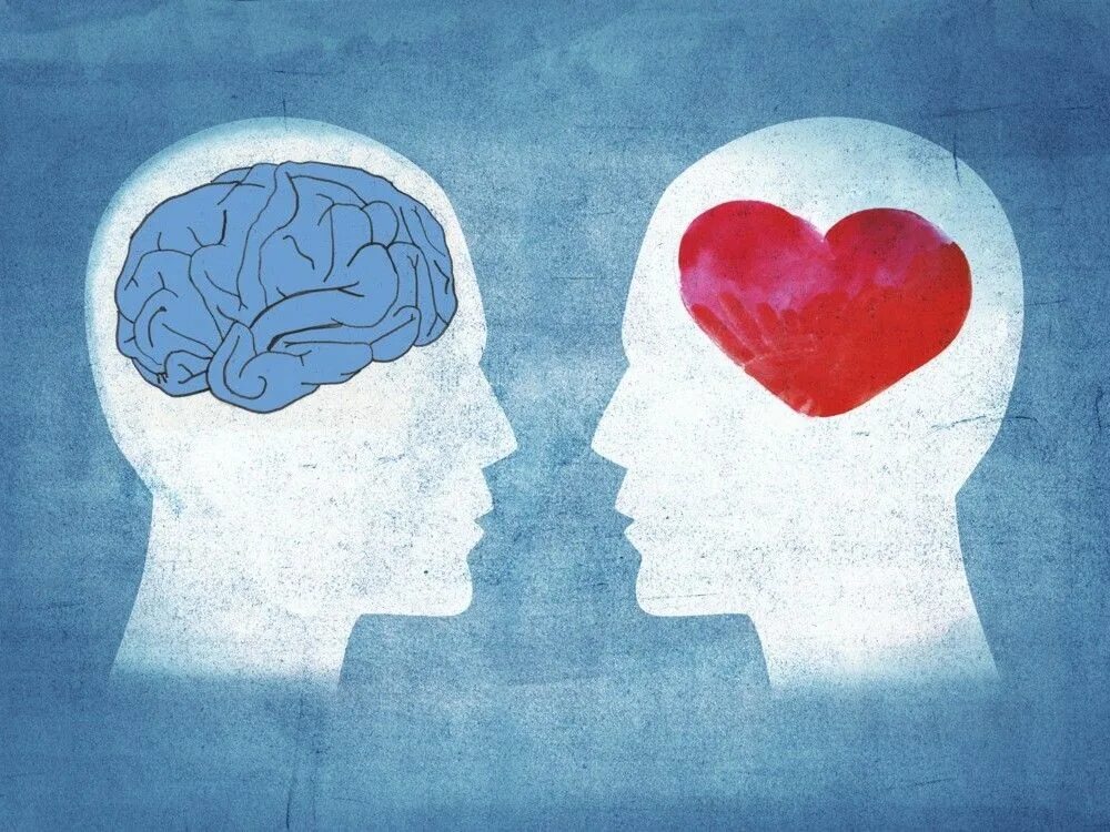 Heart and brain. Мышление и любовь. Мозг и сердце. Голова и сердце. Сердце и разум.