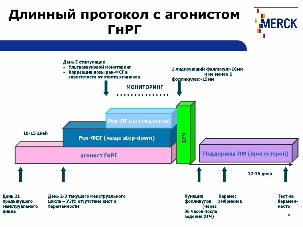 По дням коротком протоколе. Длинный протокол эко схема. Длинный протокол эко по дням схема с препаратами. Схема короткого протокола эко по дням. Протокол стимуляции эко.