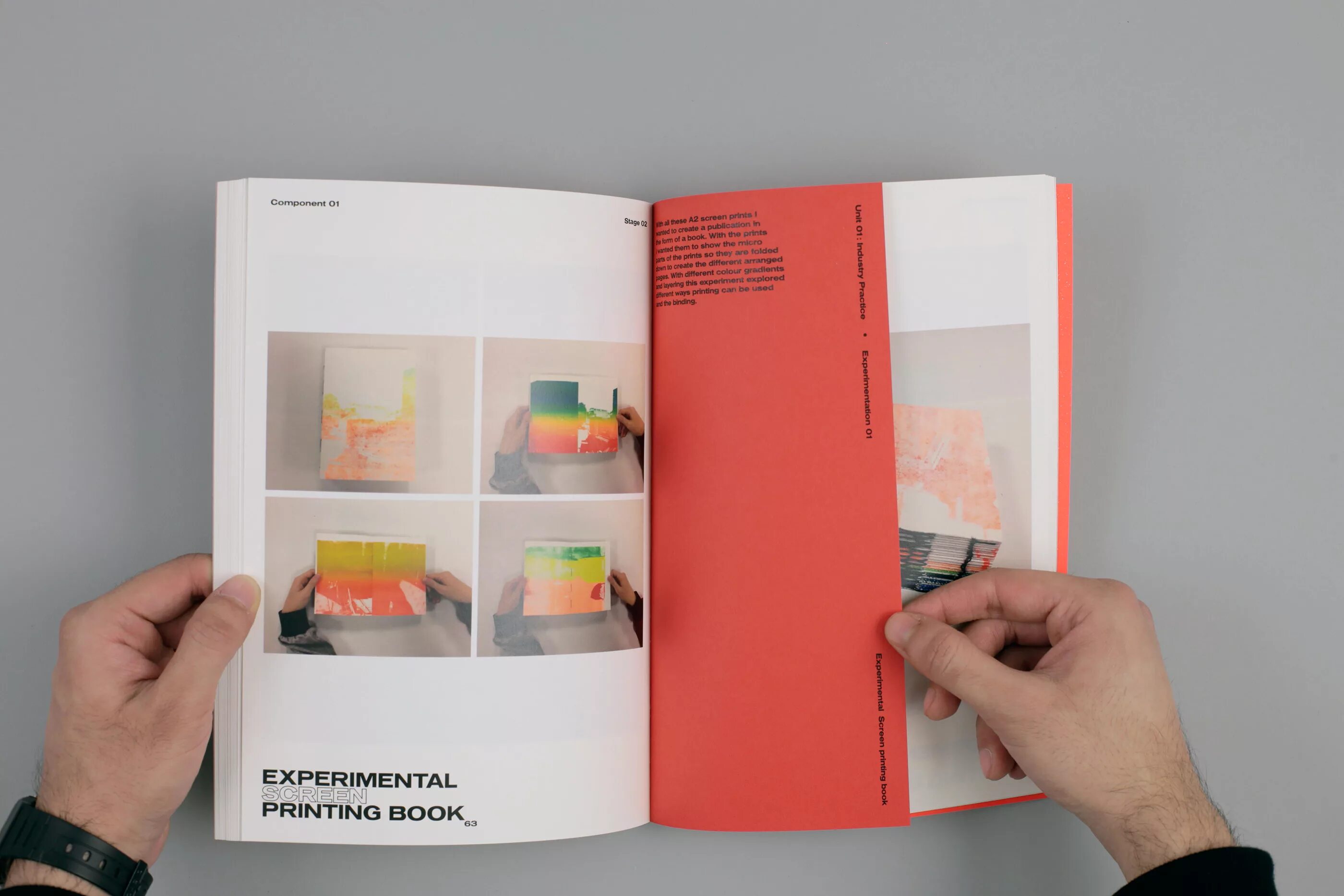 Research summarized in a visual display. Book printing. printer.book design. experimental research design books. facades: a visual compendium.