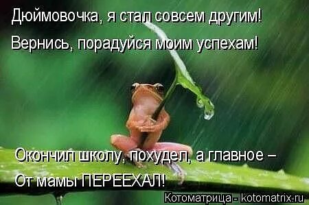 Картинки у природы нет плохой погоды прикольные