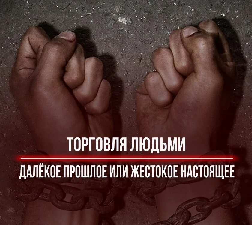 Эксплуатация торговли людей. Торговля людьми. Торговля людьми картинки. Против торговли людьми. Борьба с торговлей людьми.