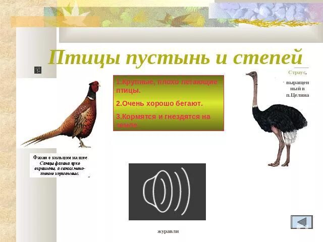 К степным птицам относятся ответ 4