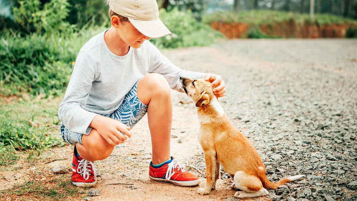 Собака для детей. Мальчик в приюте для животных. Мальчик с собакой в парке. Мужчина с собакой в парке. Щенок на руках.