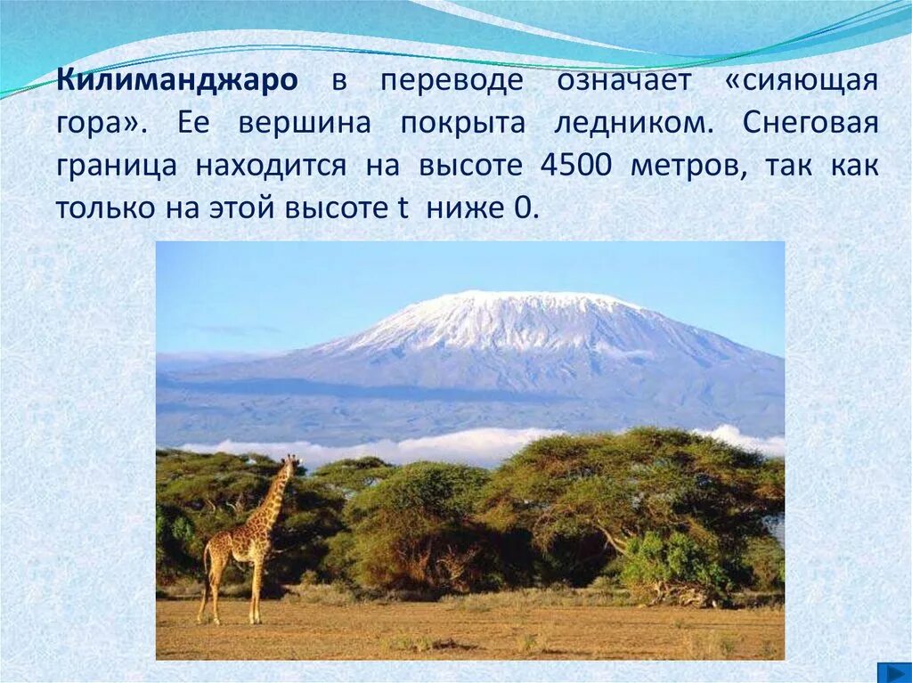Наивысшая точка килиманджаро. Гора килиманджаро высота. килиманджаро высота снеговой линии. азимут вулкана килиманджаро. килиманджаро африка высота.