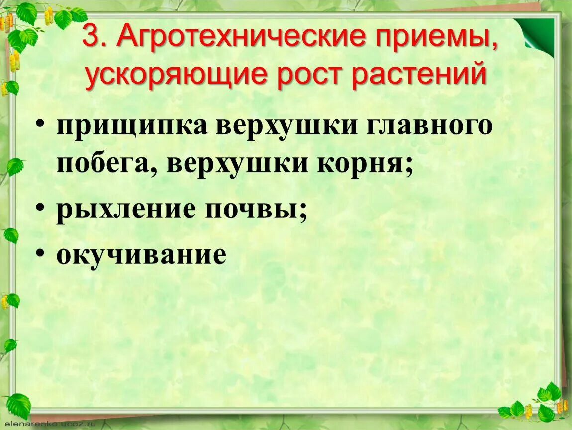 Типы агротехнических приемов. Агротехнические приемы. Агро технические приёмф. Агротехническиеагротехнические приемы. Агротехнические приемы с корнем.