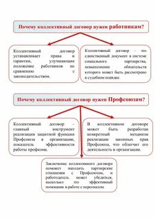 Коллективный договор устанавливает на предприятии