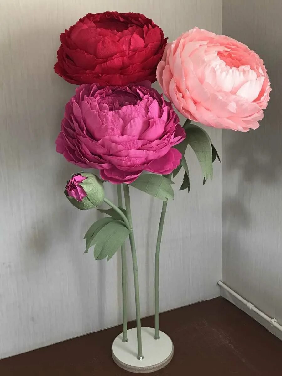 Цветы из гофрированной бумаги своими руками. Пион изолон мастер. Изолон мк цветы. Цветы из гофрированной бумаги. Объемные цветы на стену.