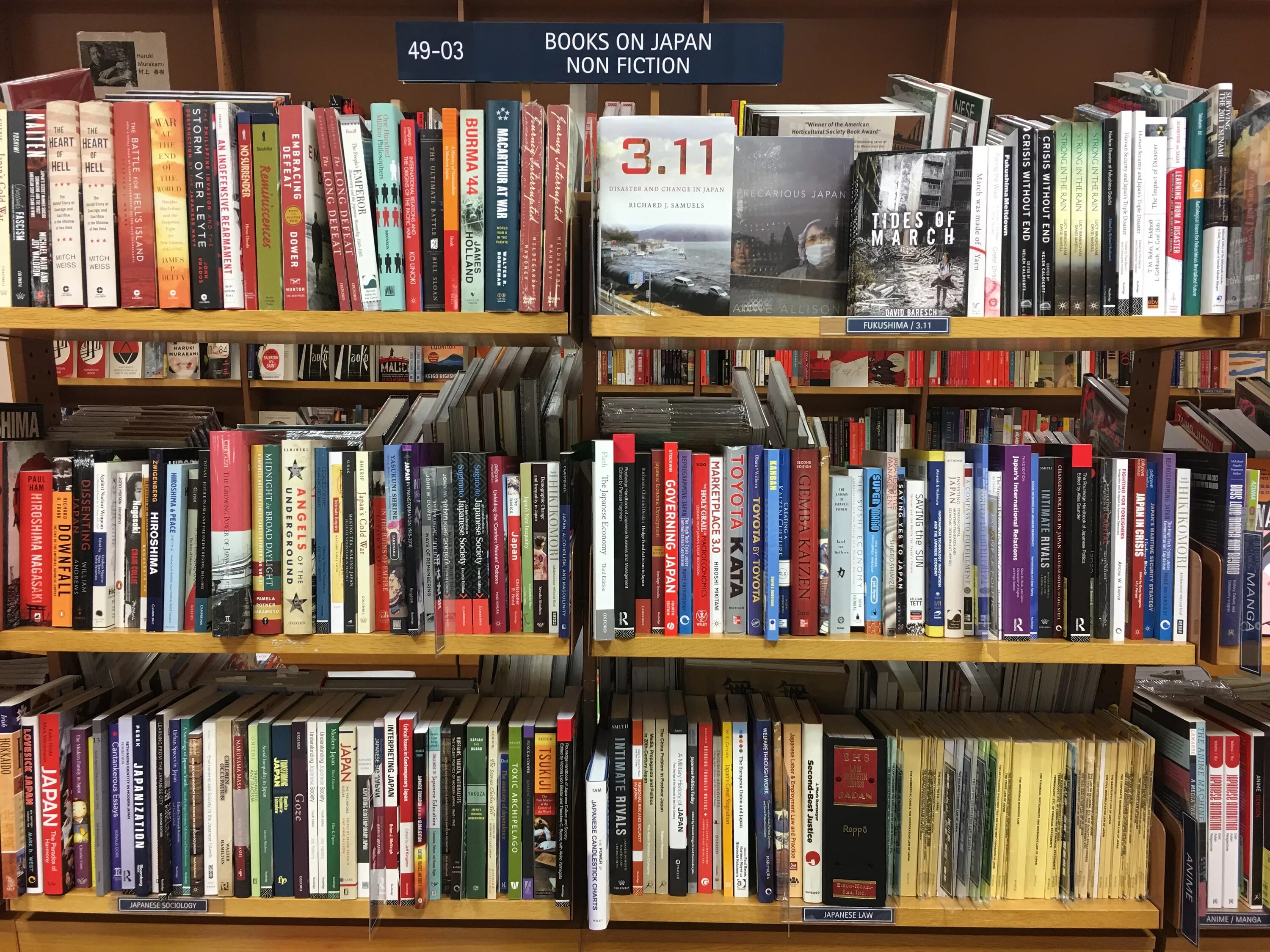 The chosen one. Fiction books. Fiction book 3. Fiction book 3. Fiction book 3.