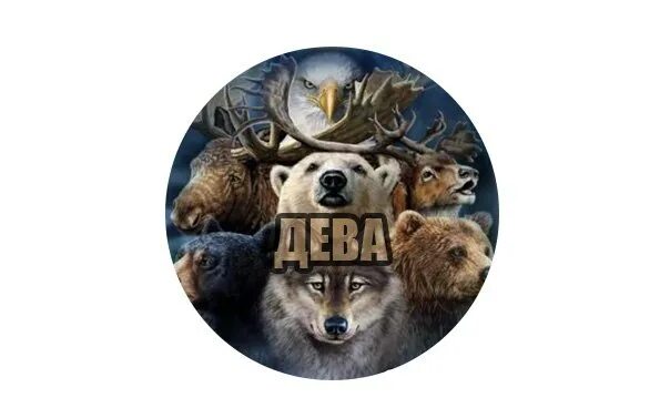 Тотемное животное девы. Тотемное животное по знаку зодиака телец. телец тотемные животные. тотемные животные знаков зодиака телец. тотемные животные девы.