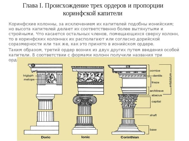 Значение ордера. Коринфский ордер в архитектуре древней греции. архитектурные ордера древней греции. коринфский ордер колонна пропорции. колонна коринфского ордера.