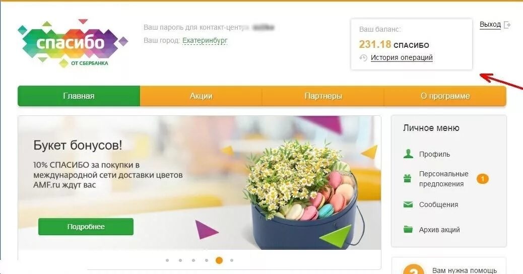 Бонусы спасибо от Сбербанка в личном кабинете. Сбербанк спасибо личный кабинет. Бонусы спасибо от Сбербанка личный кабинет. Бонусы сбербанка сайт
