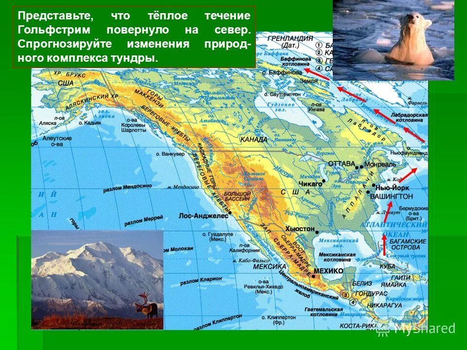 Природные зоны северной америки презентация