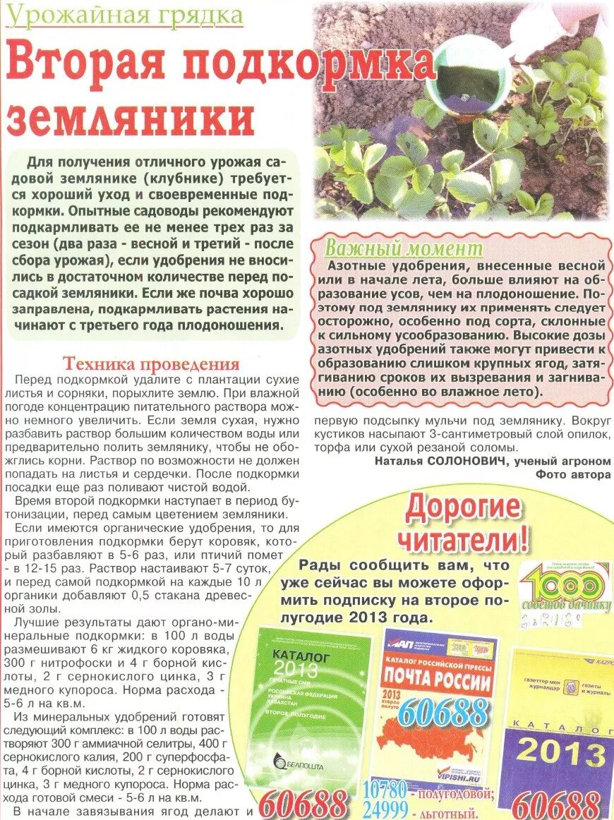 Подкормка в период плодоношения