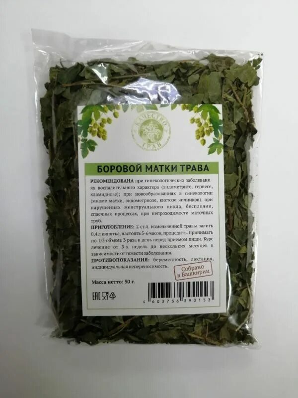 Как заваривать боровую матку