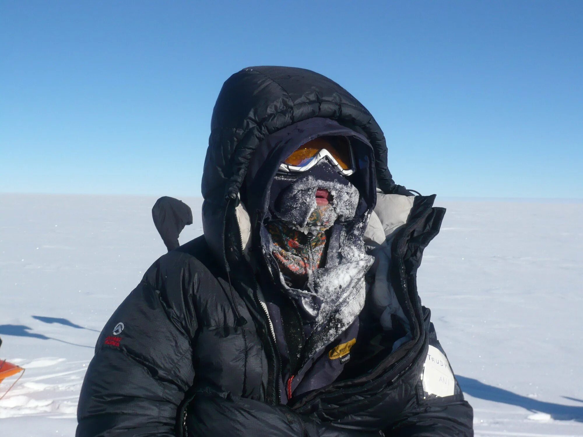 Туризм в арктике. Туристы в антарктиде. Антарктида условия жизни. Ленинградская (антарктическая станция). Антарктида люди.