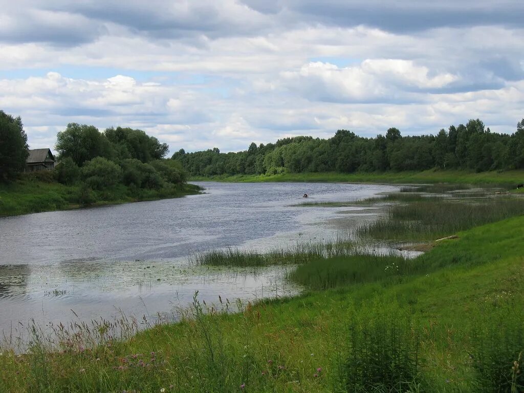 Пестово река. Пестово молога. Пестово река. Пестово. Природа животные мир новгородской обл пестово.