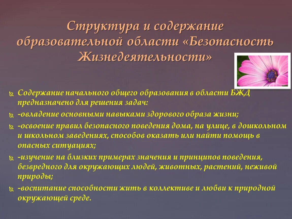 Безопасность в сфере образования. Содержание безопасности жизнедеятельности. Образовательная область БЖД. Содержание БЖД. Общеобразовательная структура в области БЖД.