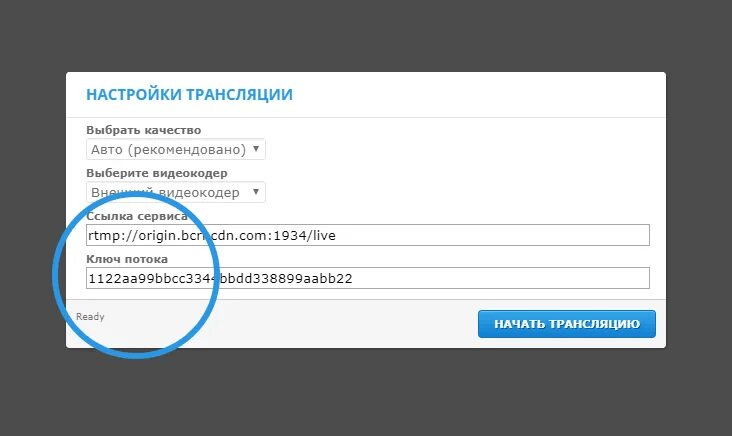 Бонгамоделс личный кабинет. Камскор бонга. Как настроить трансляцию. Бонгакамс скрины. Url трансляции это что.